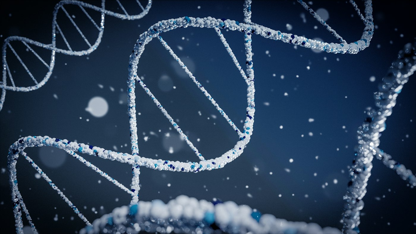A DNA double helix
